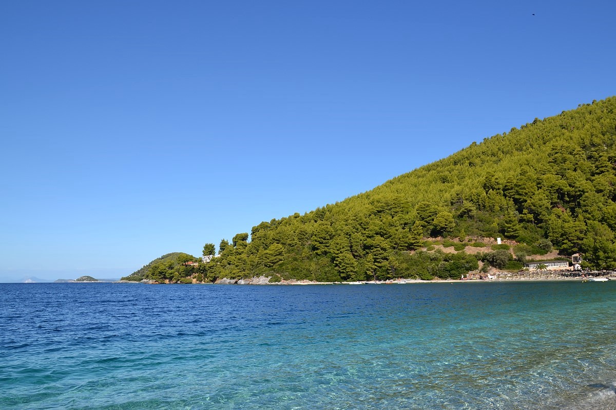 DSC_0431 (Kopiowanie).JPG