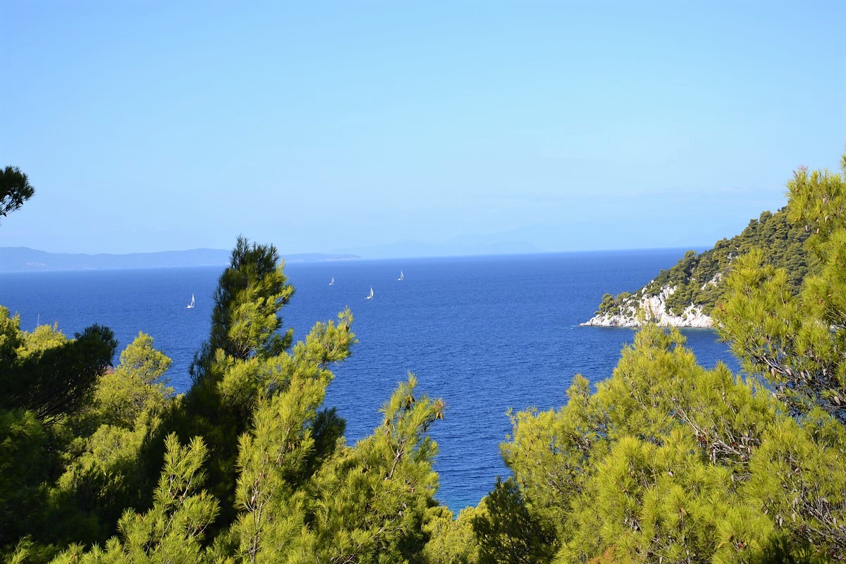 DSC_0451 (Kopiowanie).JPG