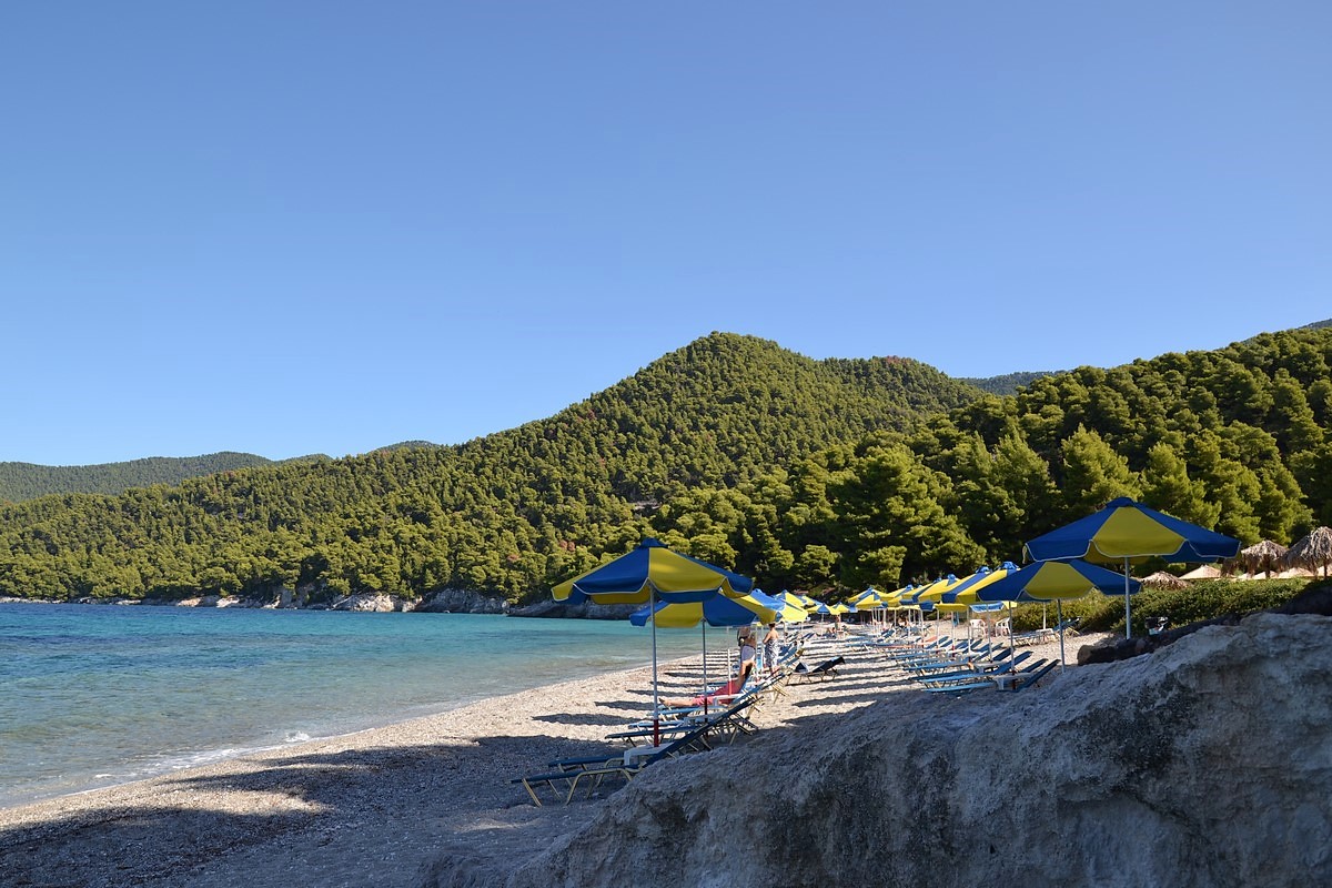 DSC_0473 (Kopiowanie).JPG