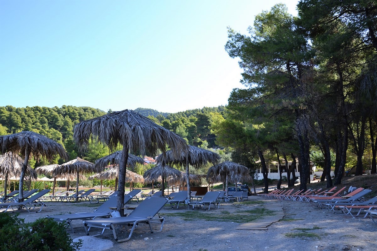 DSC_0478 (Kopiowanie).JPG