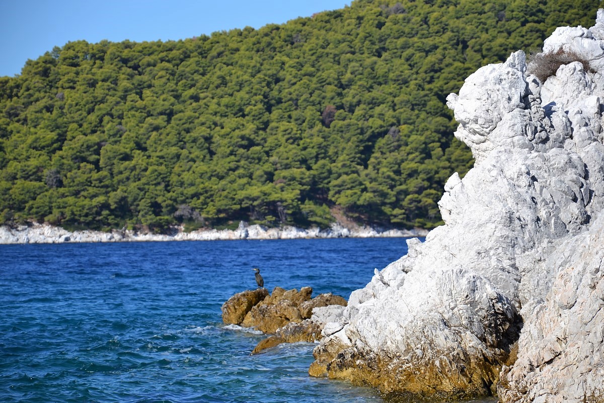 DSC_0480 (Kopiowanie).JPG