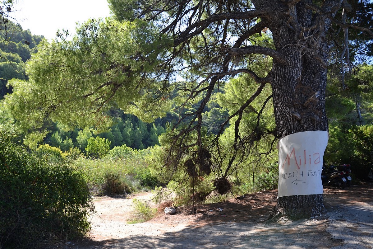 DSC_0486 (Kopiowanie).JPG