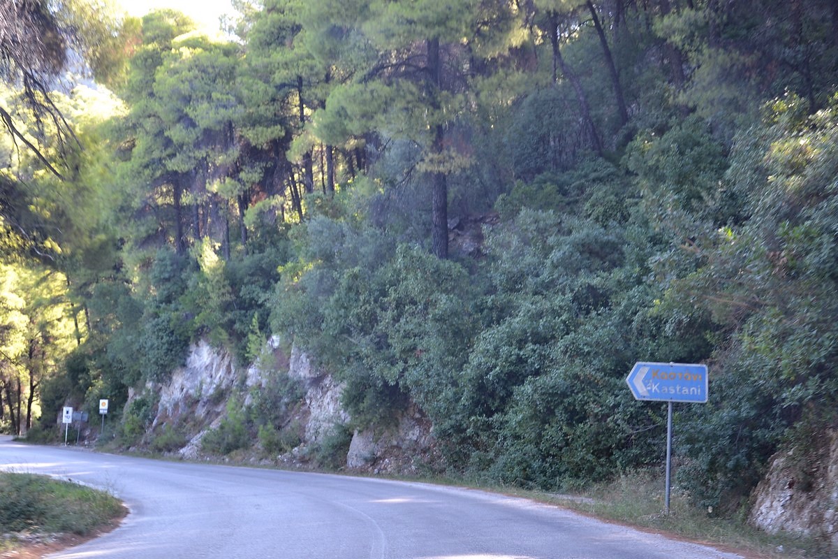 DSC_0488 (Kopiowanie).JPG