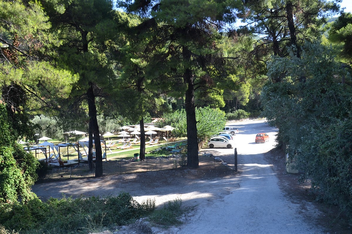 DSC_0499 (Kopiowanie).JPG