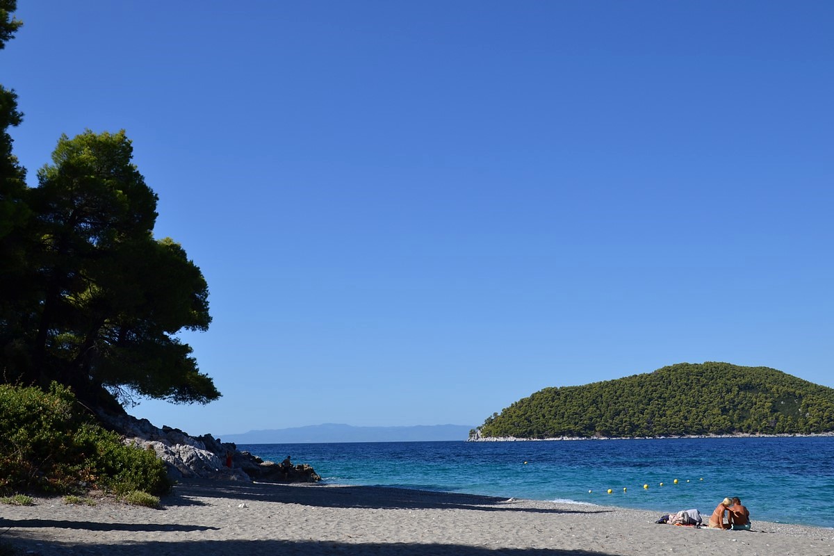 DSC_0507 (Kopiowanie).JPG