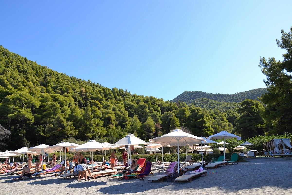 DSC_0510 (Kopiowanie).JPG