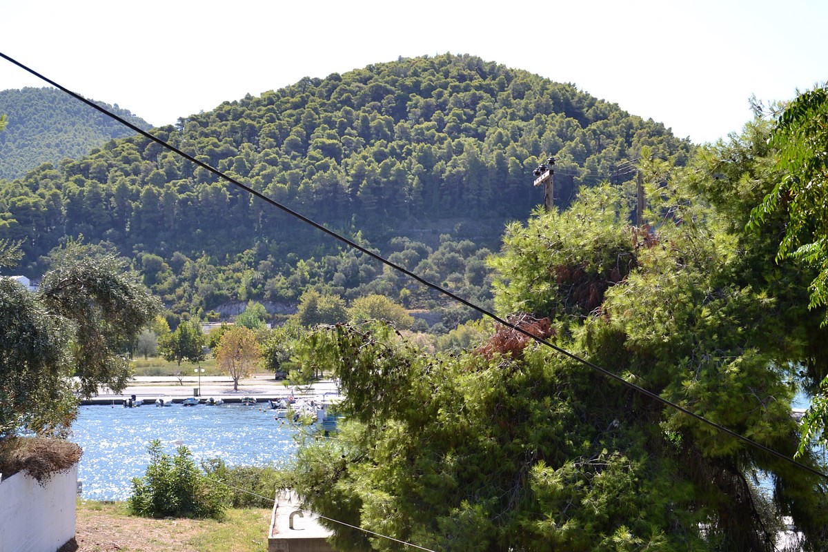 DSC_0518 (Kopiowanie).JPG