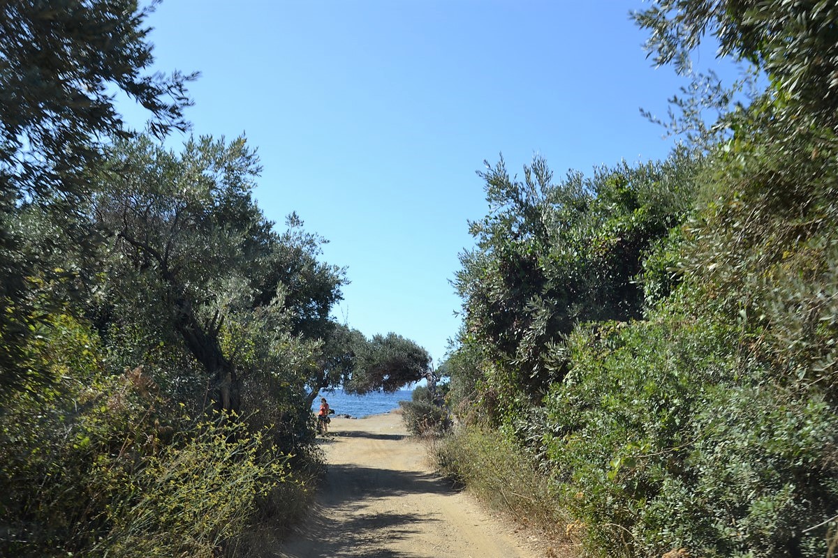 DSC_0532 (Kopiowanie).JPG