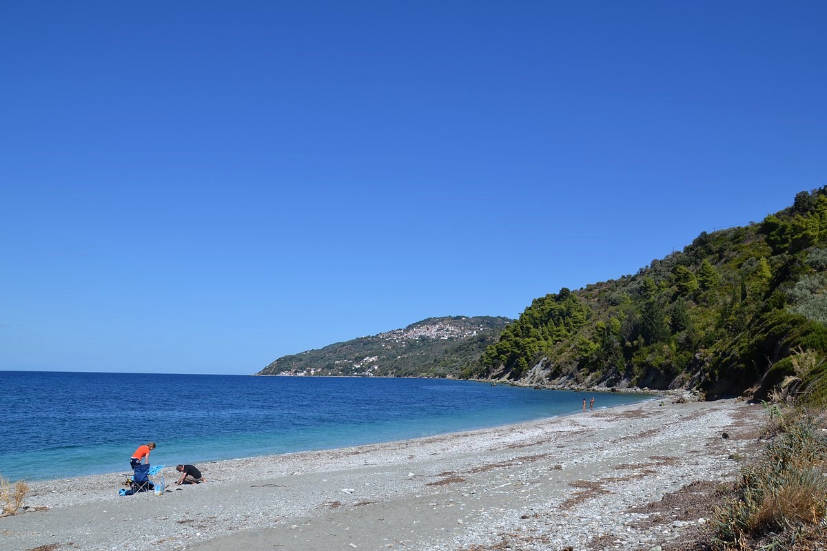 DSC_0537 (Kopiowanie).JPG