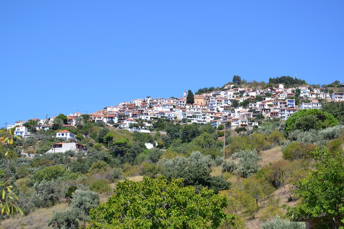 DSC_0555 (Kopiowanie).JPG