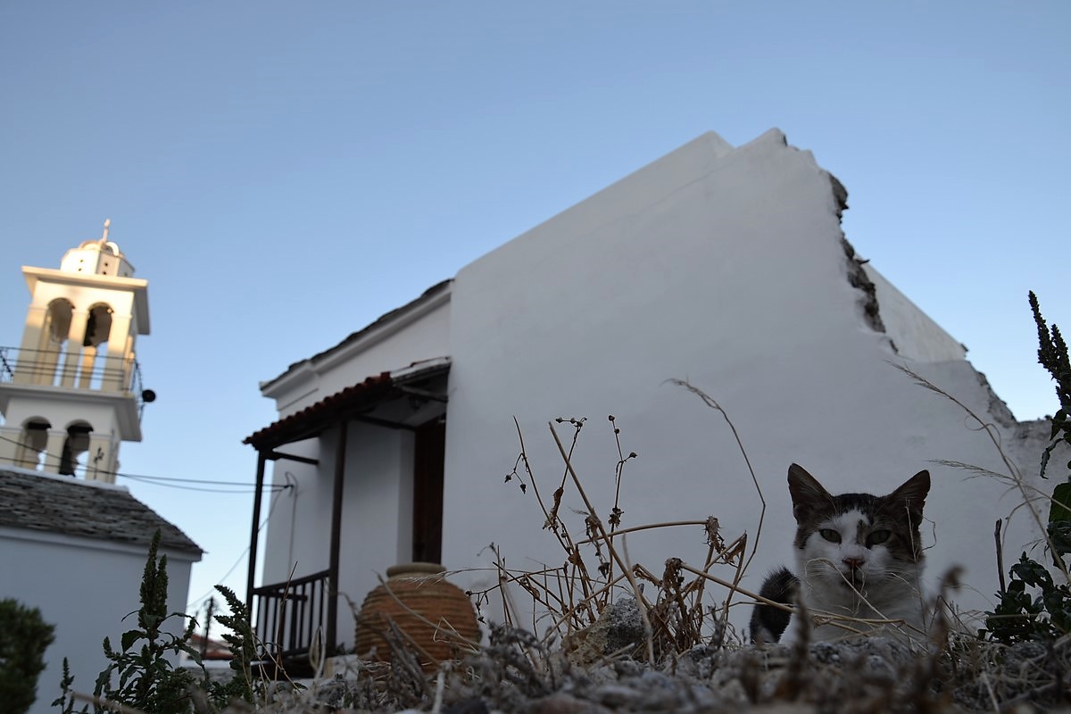 DSC_0733 (Kopiowanie).JPG