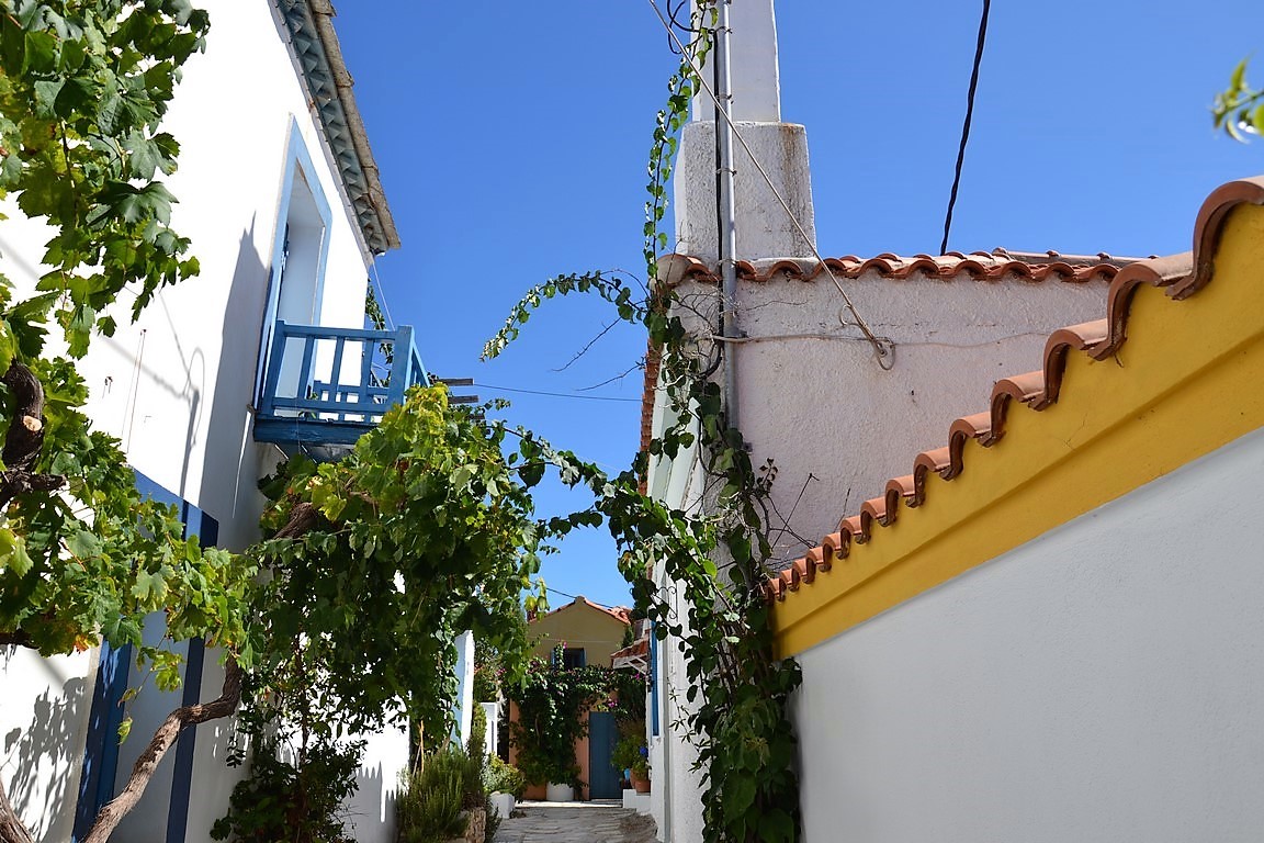 DSC_0033 (Kopiowanie).JPG