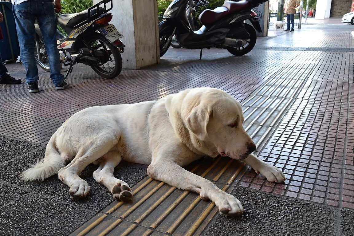 DSC_0399 (Kopiowanie).JPG