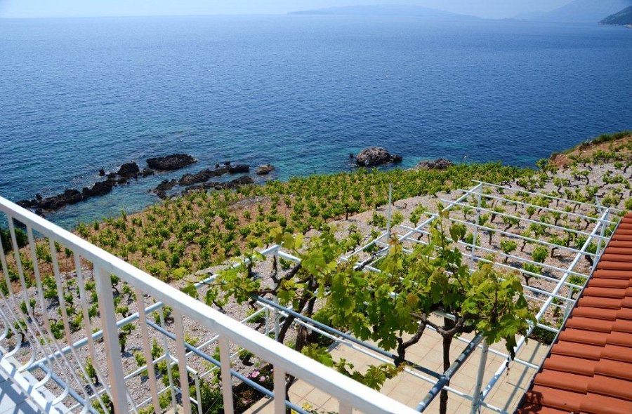 terasa 1. patro Naranca (2).jpg