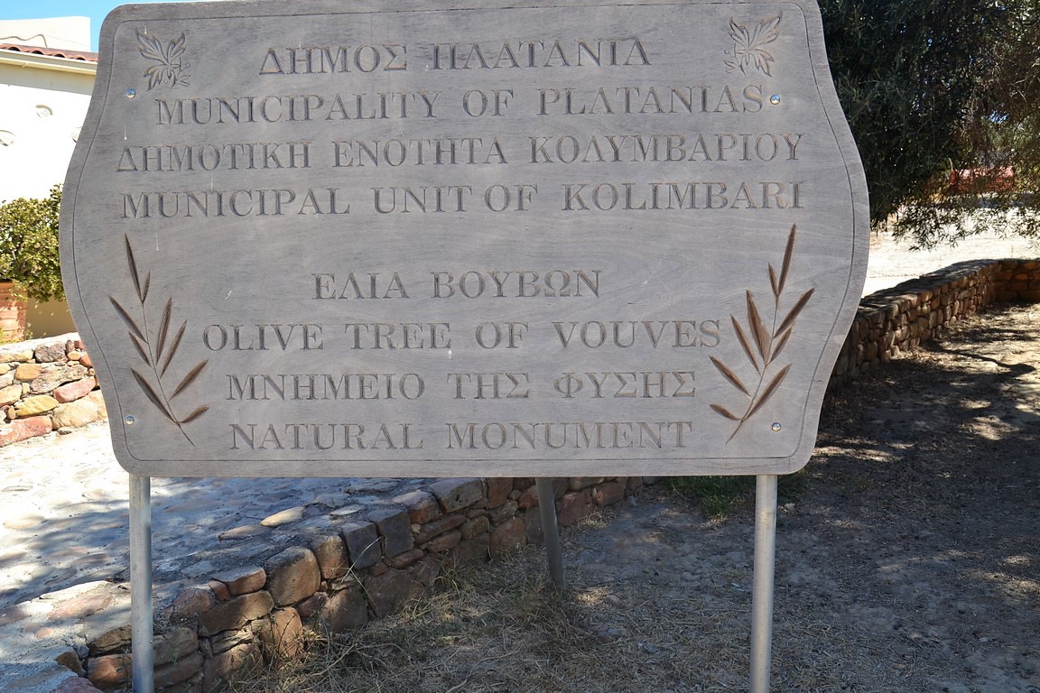 DSC_0146 (Kopiowanie).JPG