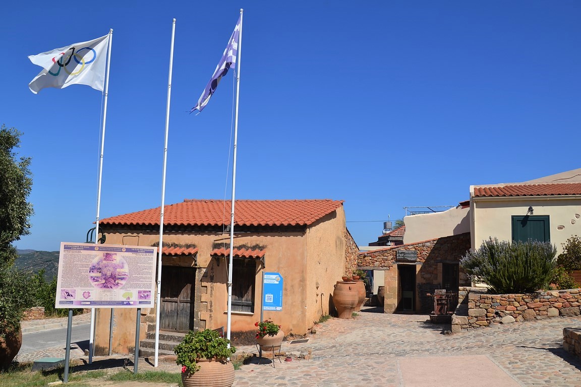 DSC_0159 (Kopiowanie).JPG