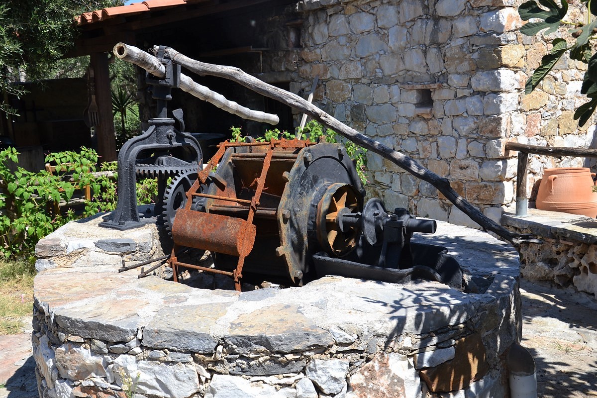 DSC_0047 (Kopiowanie).JPG