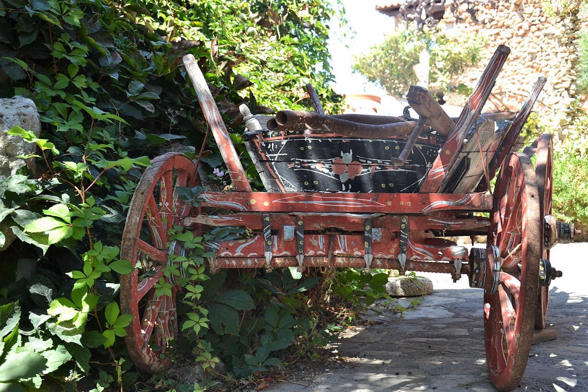 DSC_0081 (Kopiowanie).JPG