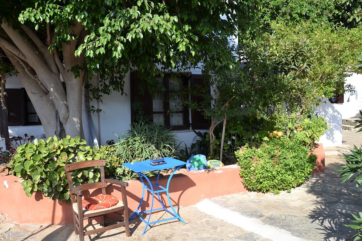 DSC_0163 (Kopiowanie).JPG