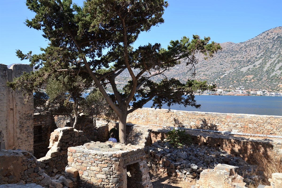 DSC_0292 (Kopiowanie).JPG