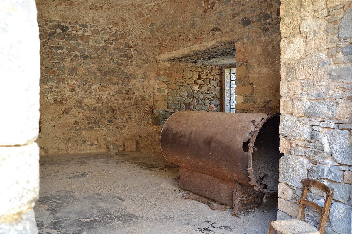 DSC_0317 (Kopiowanie).JPG