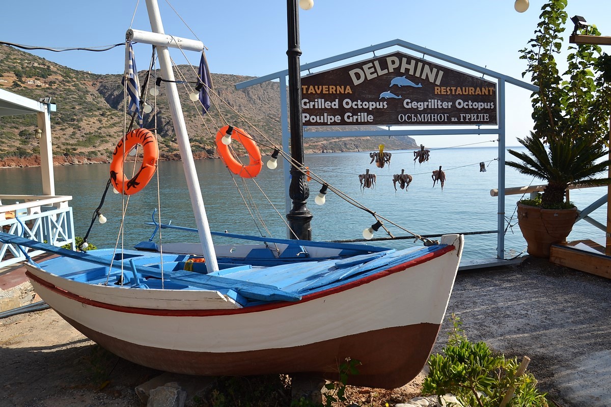 DSC_0202 (Kopiowanie).JPG