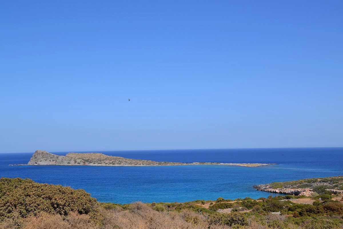 DSC_0498 (Kopiowanie).JPG