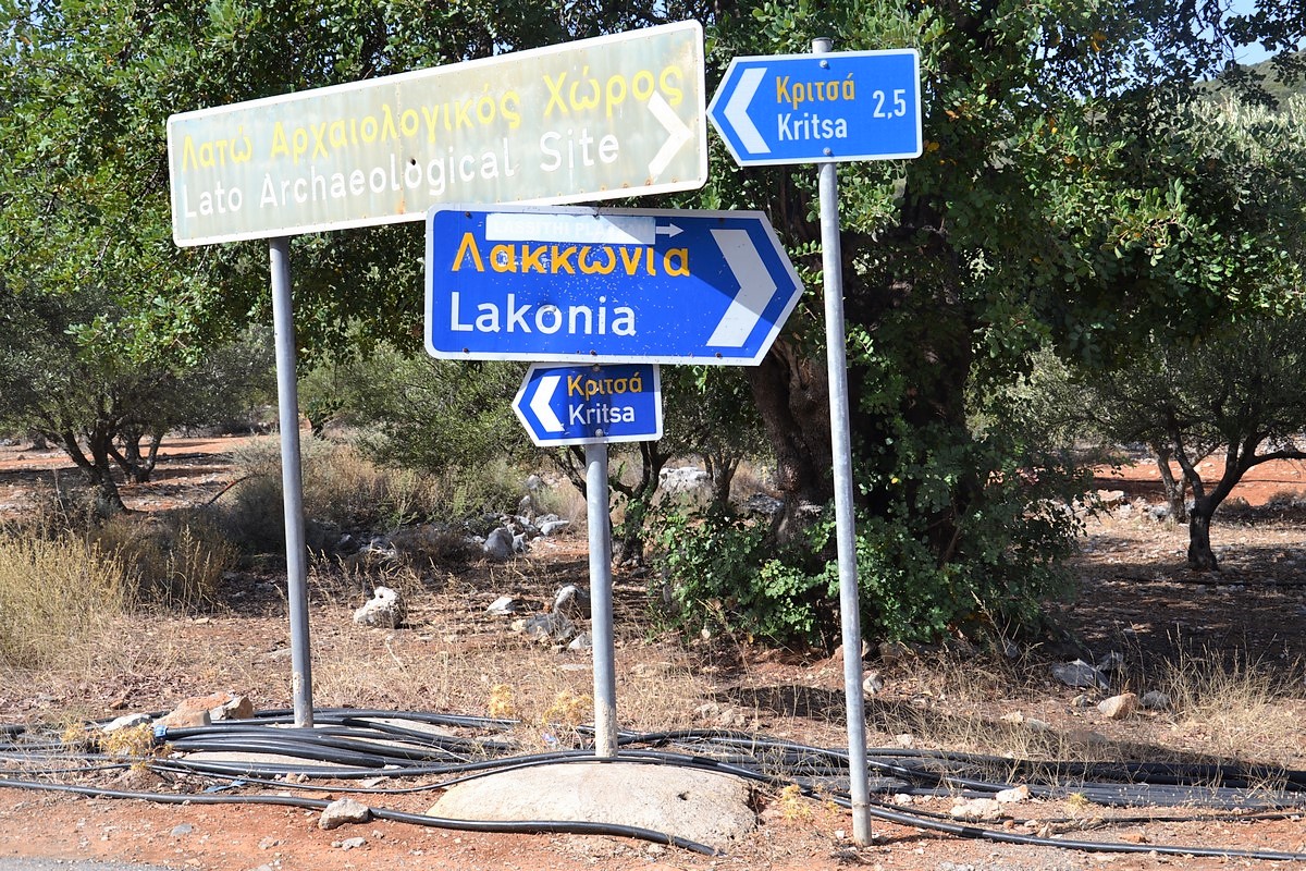 DSC_0535 (Kopiowanie).JPG