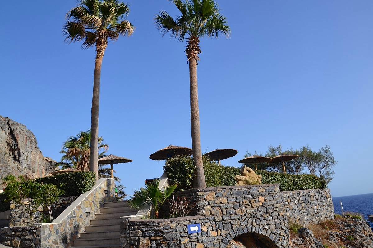 DSC_0759d (Kopiowanie).JPG