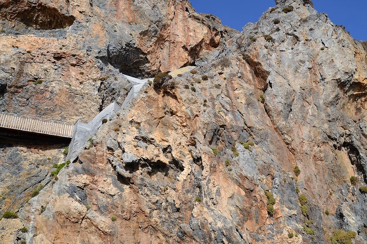 DSC_0036 (Kopiowanie).JPG