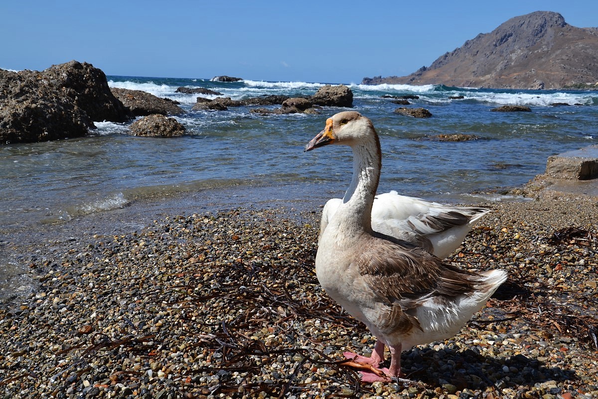 DSC_0102 (Kopiowanie).JPG