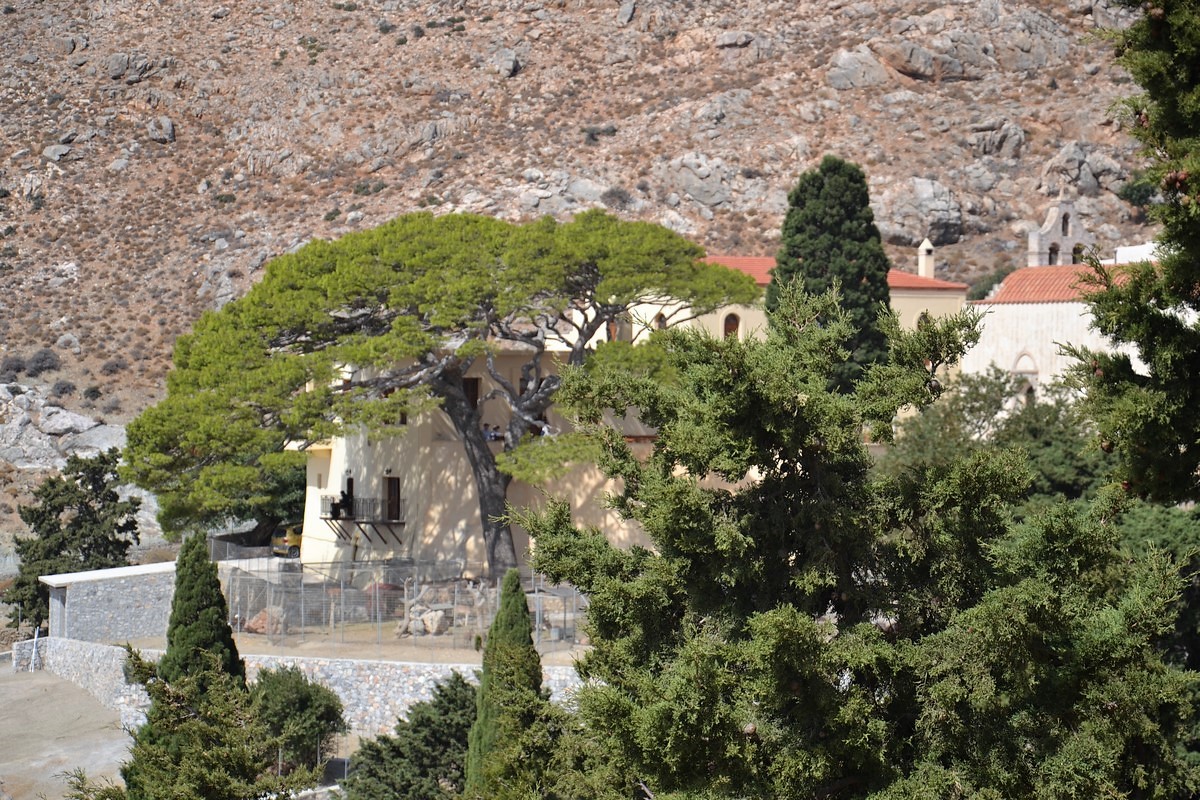 DSC_0973 (Kopiowanie).JPG