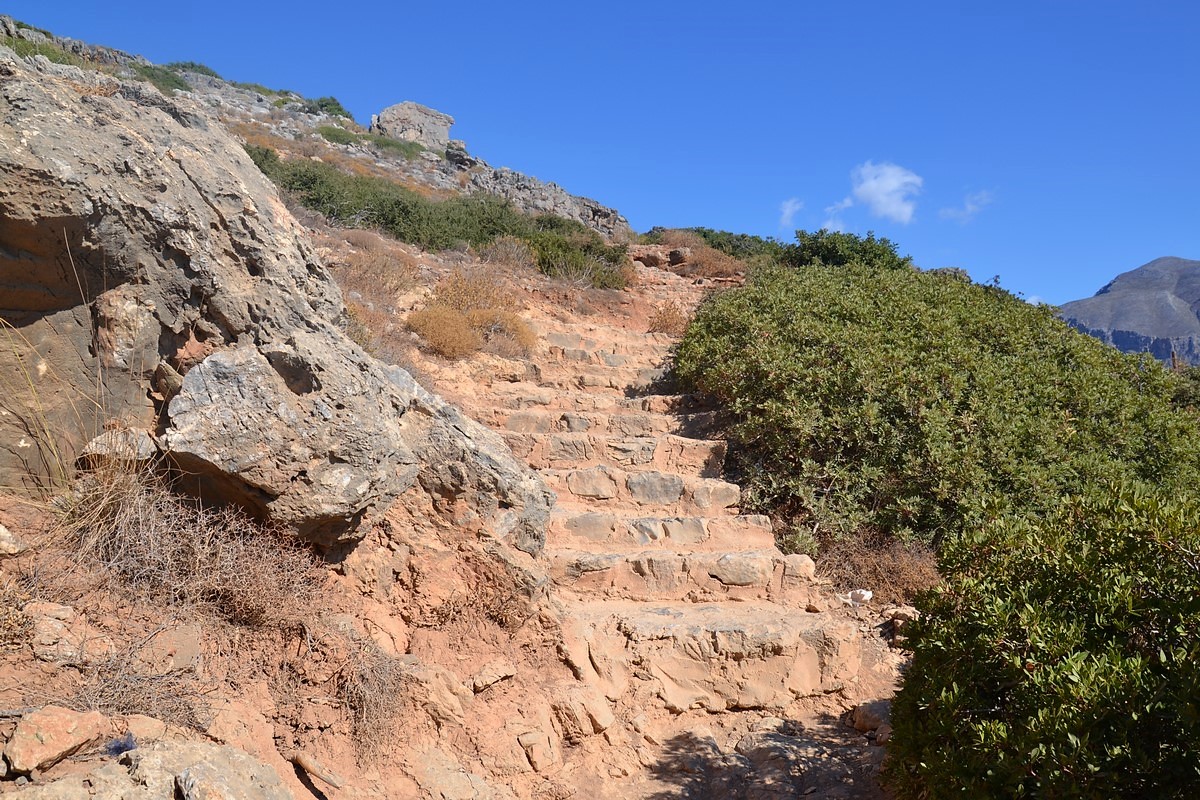 DSC_0218 (Kopiowanie).JPG