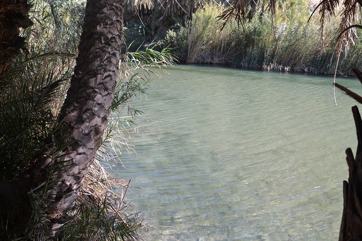 DSC_0257 (Kopiowanie).JPG