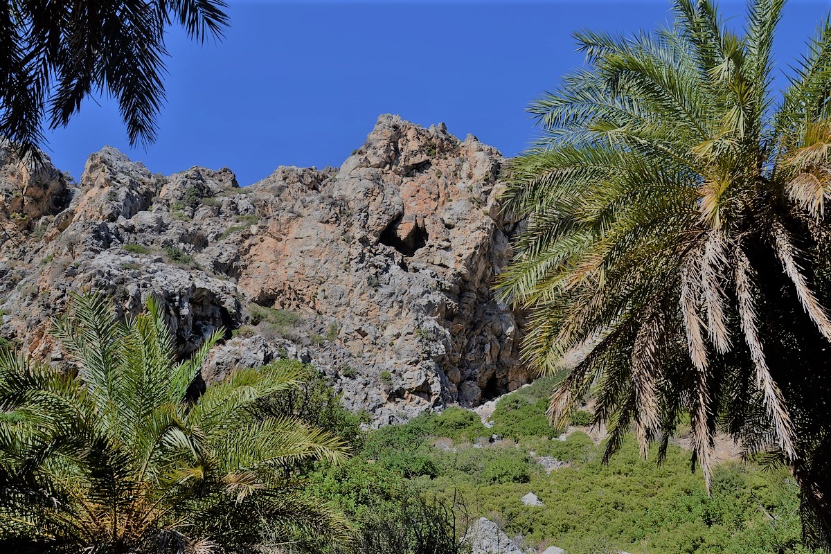 DSC_0271 (Kopiowanie).JPG