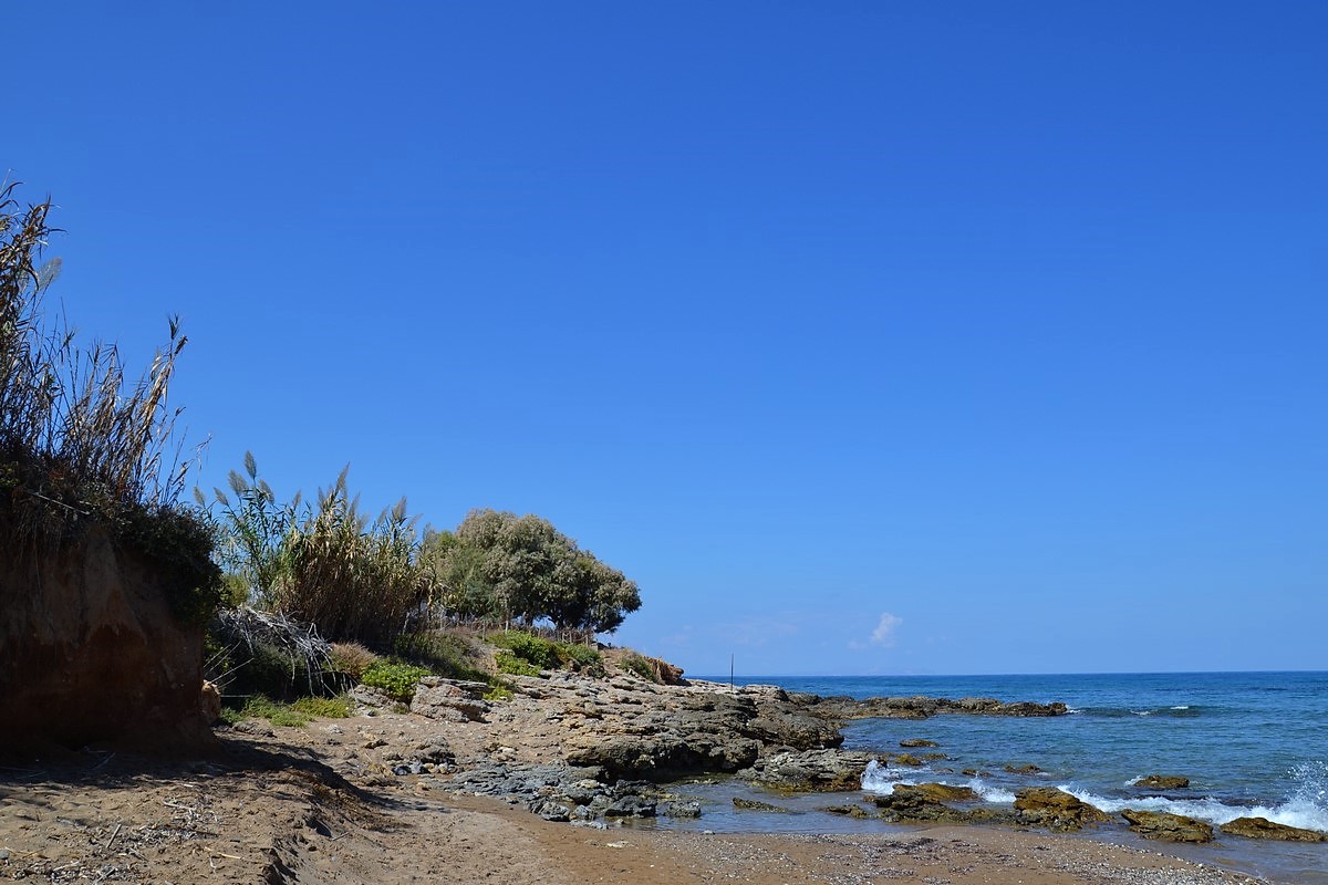 DSC_0856 (Kopiowanie).JPG