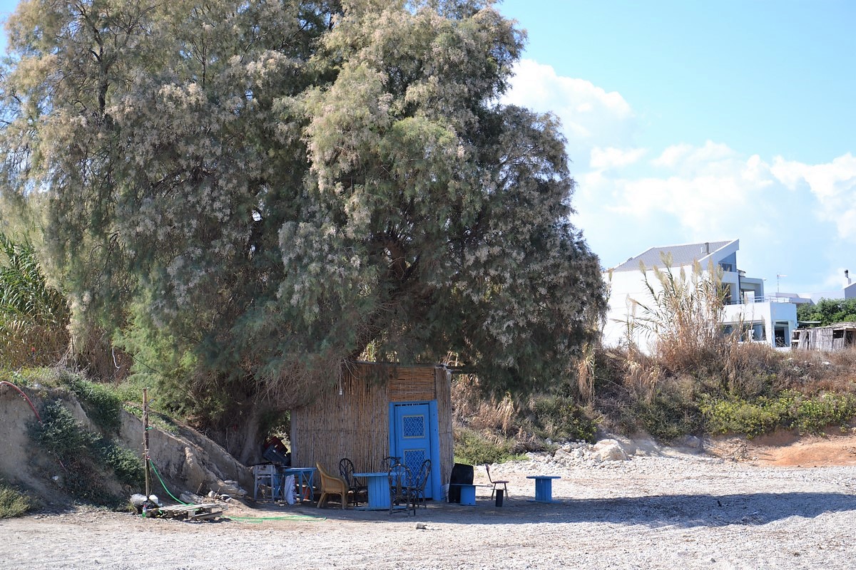 DSC_0865 (Kopiowanie).JPG