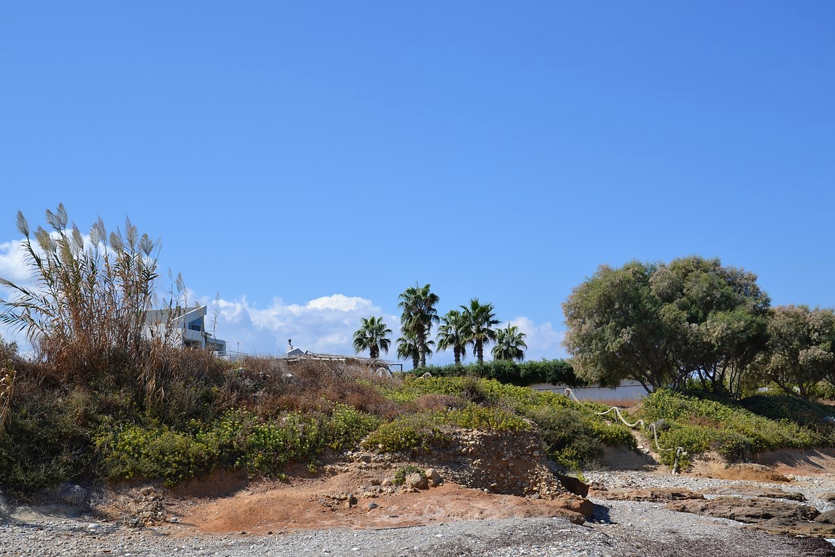 DSC_0867 (Kopiowanie).JPG