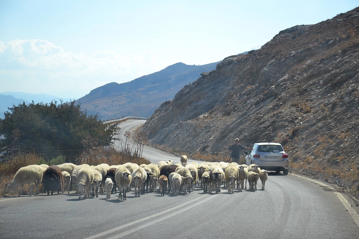 DSC_0955 (Kopiowanie).JPG