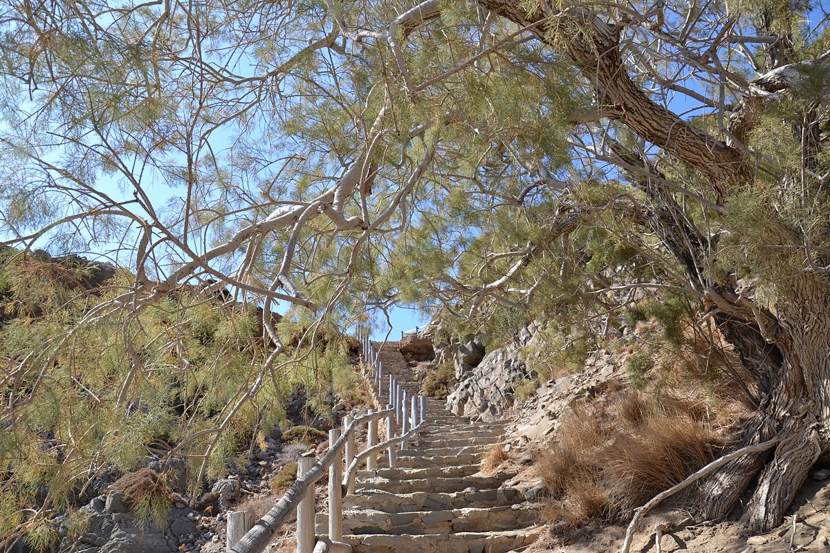 DSC_0991 (Kopiowanie).JPG