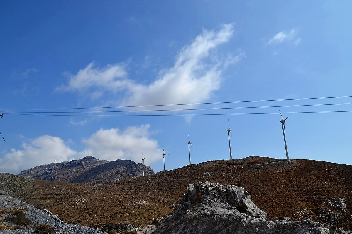 DSC_0135 (Kopiowanie).JPG