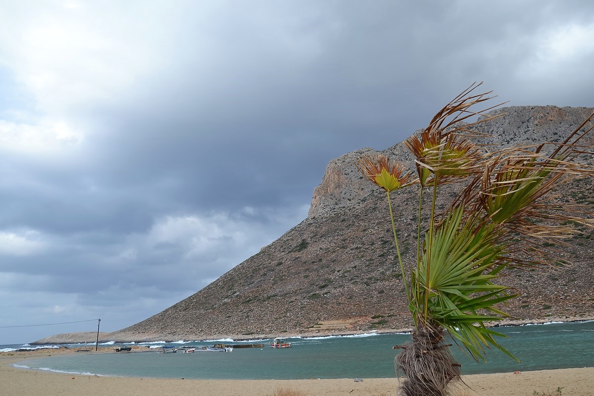 DSC_0297 (Kopiowanie).JPG