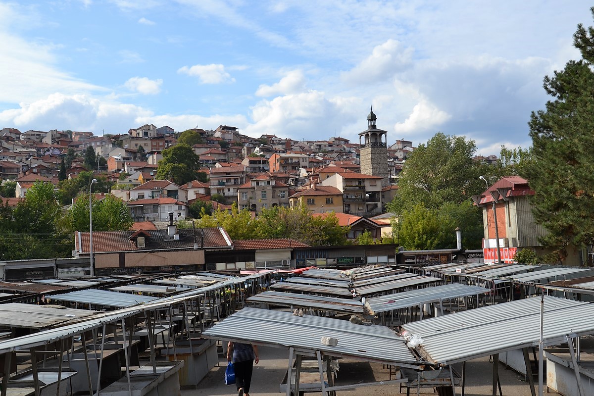 DSC_0407 (Kopiowanie).JPG