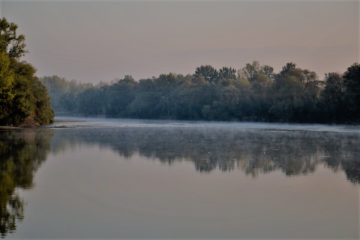 DSC_0459 (Kopiowanie).JPG