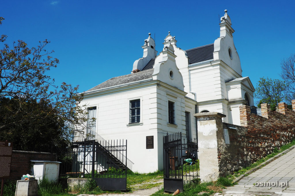Synagoga-w-Mikulovie-Czechy-1024x683.jpg