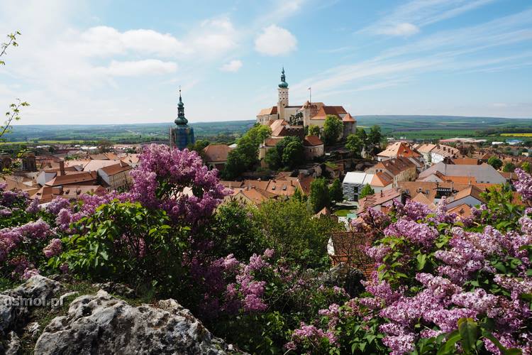 Panorama-Mikulowa-Czechy (Kopiowanie).jpg