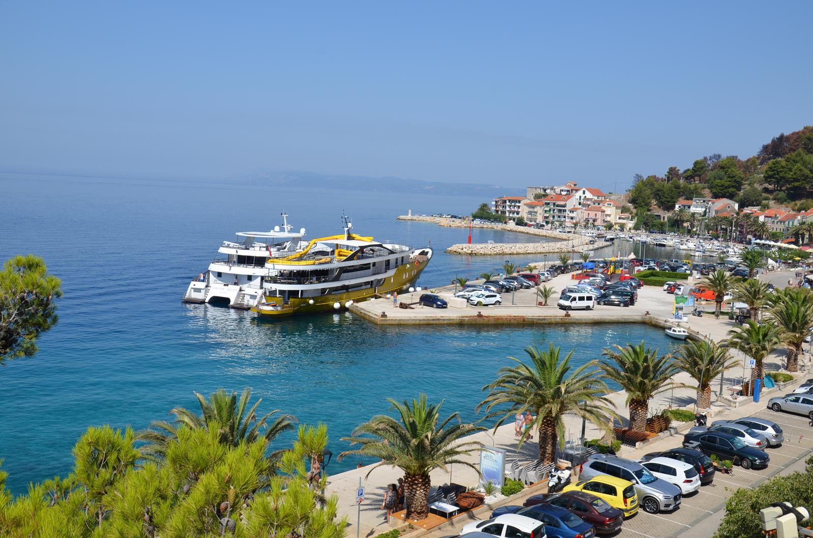 DSC_6263.JPG DSC_6263.JPG