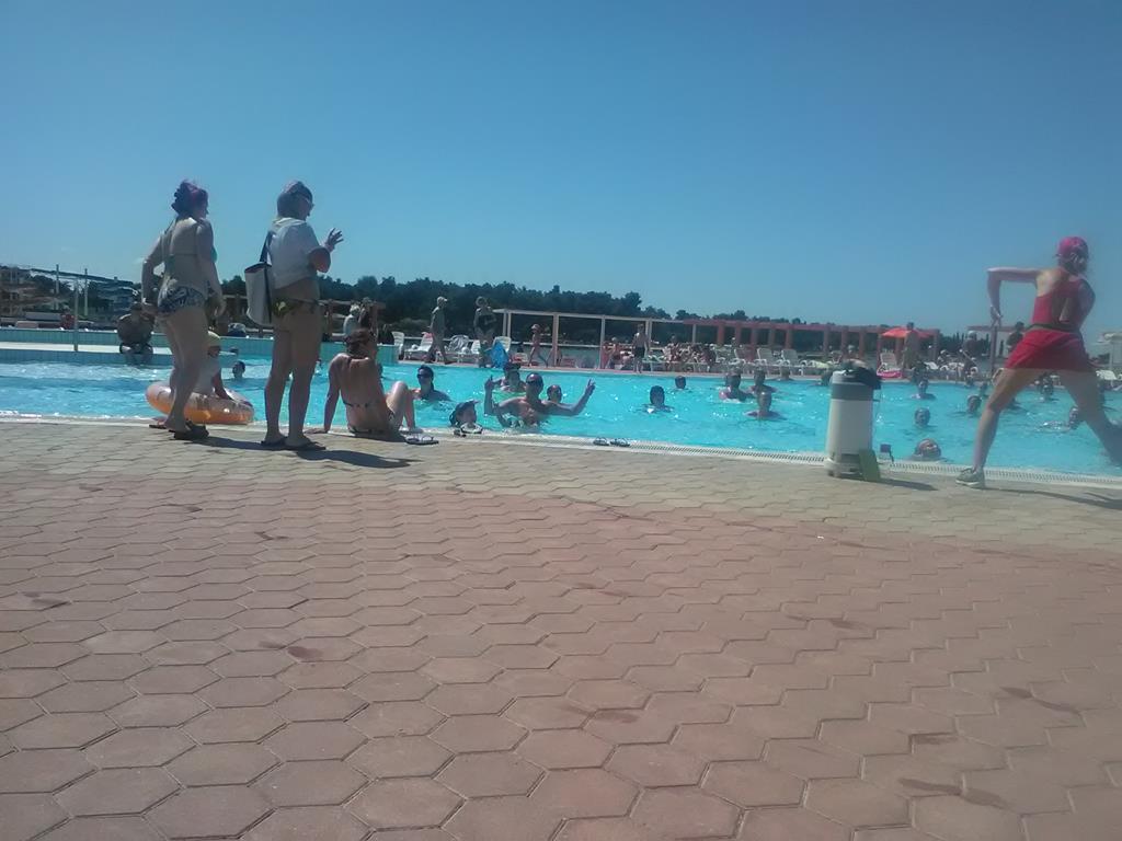 IMG_20160628_111058 (Copy).jpg