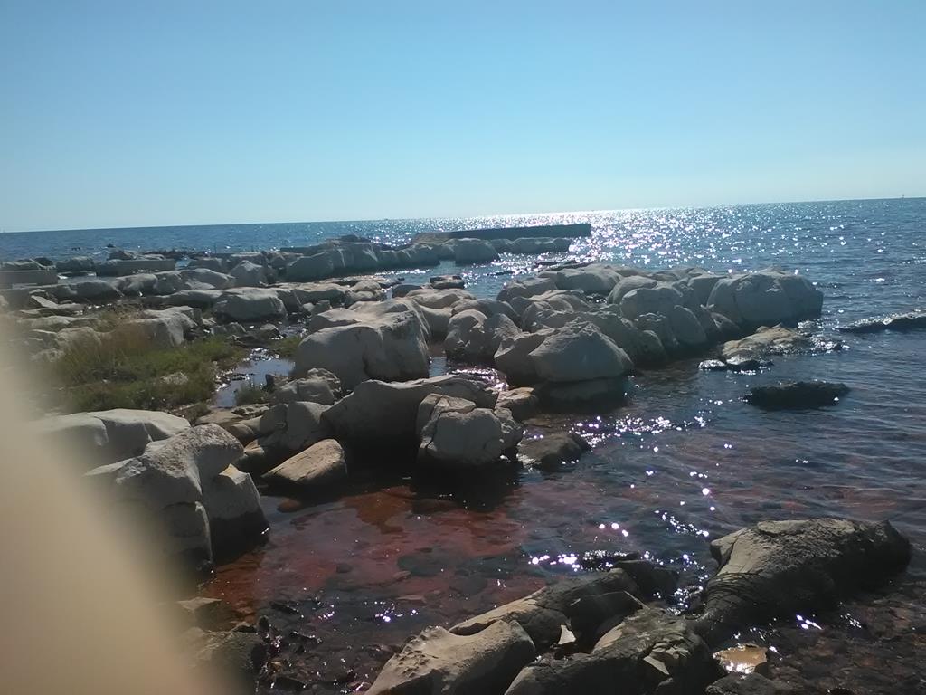 IMG_20160628_163826 (Copy).jpg