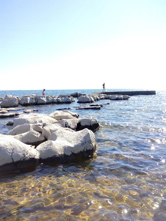 IMG_20160628_165100 (Copy).jpg